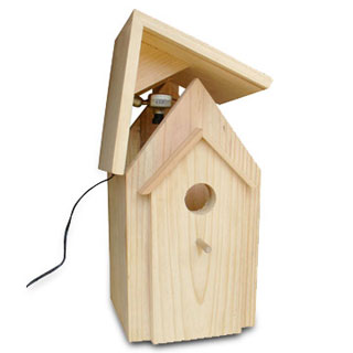 bird house with camera